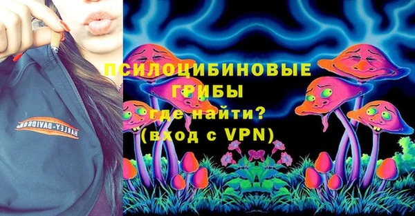 соль ск Каменка