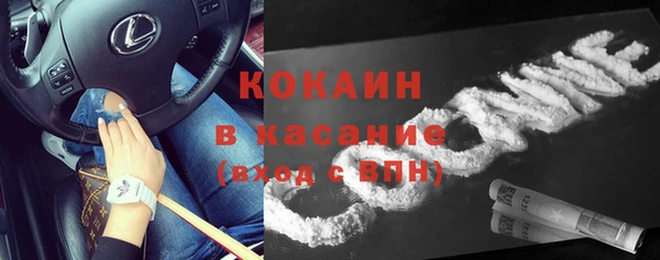 дмт Инсар