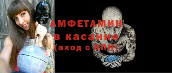крисы Инта