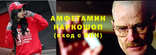 дмт Инсар