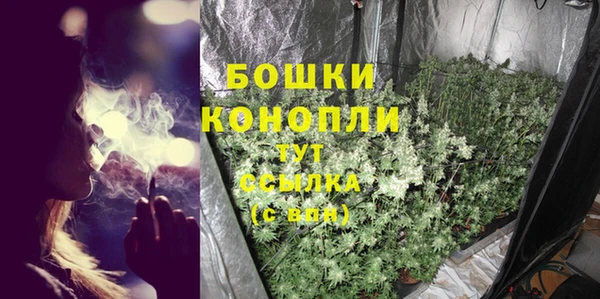 прущие грибы Иннополис