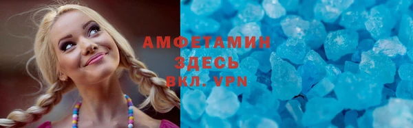 крисы Инта