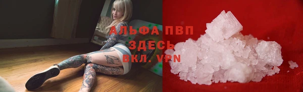 прущие грибы Иннополис