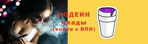 прущие грибы Иннополис