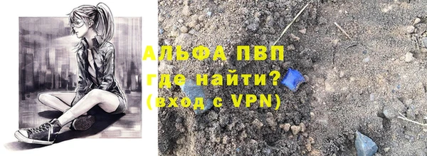 прущие грибы Иннополис