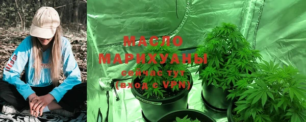 дмт Инсар