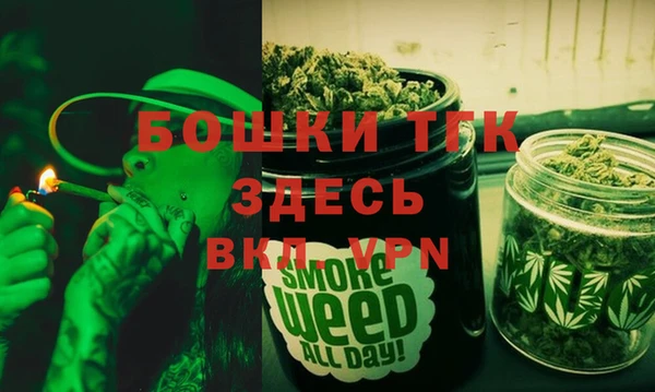 крисы Инта