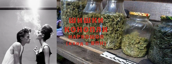 прущие грибы Иннополис