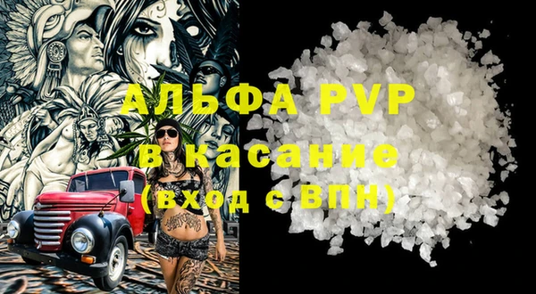 прущие грибы Иннополис