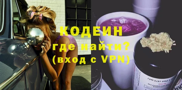 крисы Инта