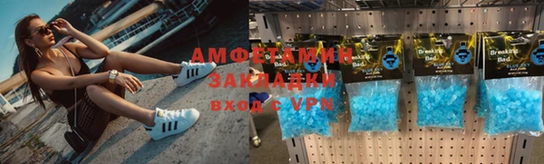 крисы Инта
