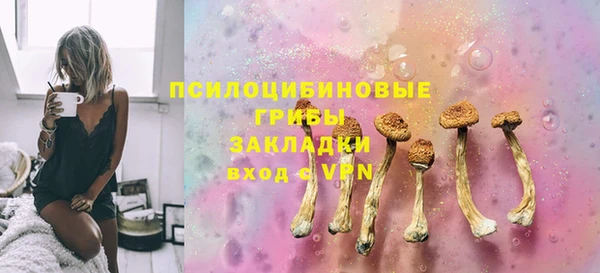 дмт Инсар