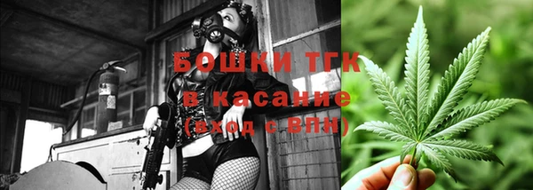 дмт Инсар