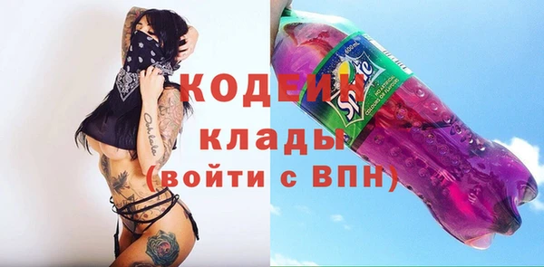 прущие грибы Иннополис