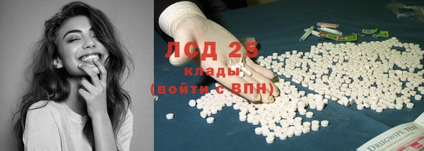 прущие грибы Иннополис