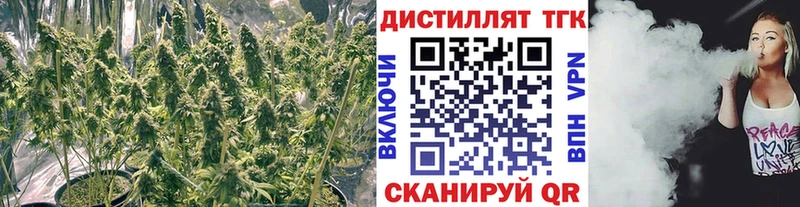 Купить где  Калачинск  ТГК жижа 